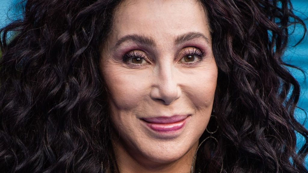 Cher Plastic Surgery and Body Measurements