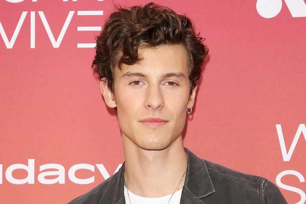 Shawn Mendes Plastic Surgery Face