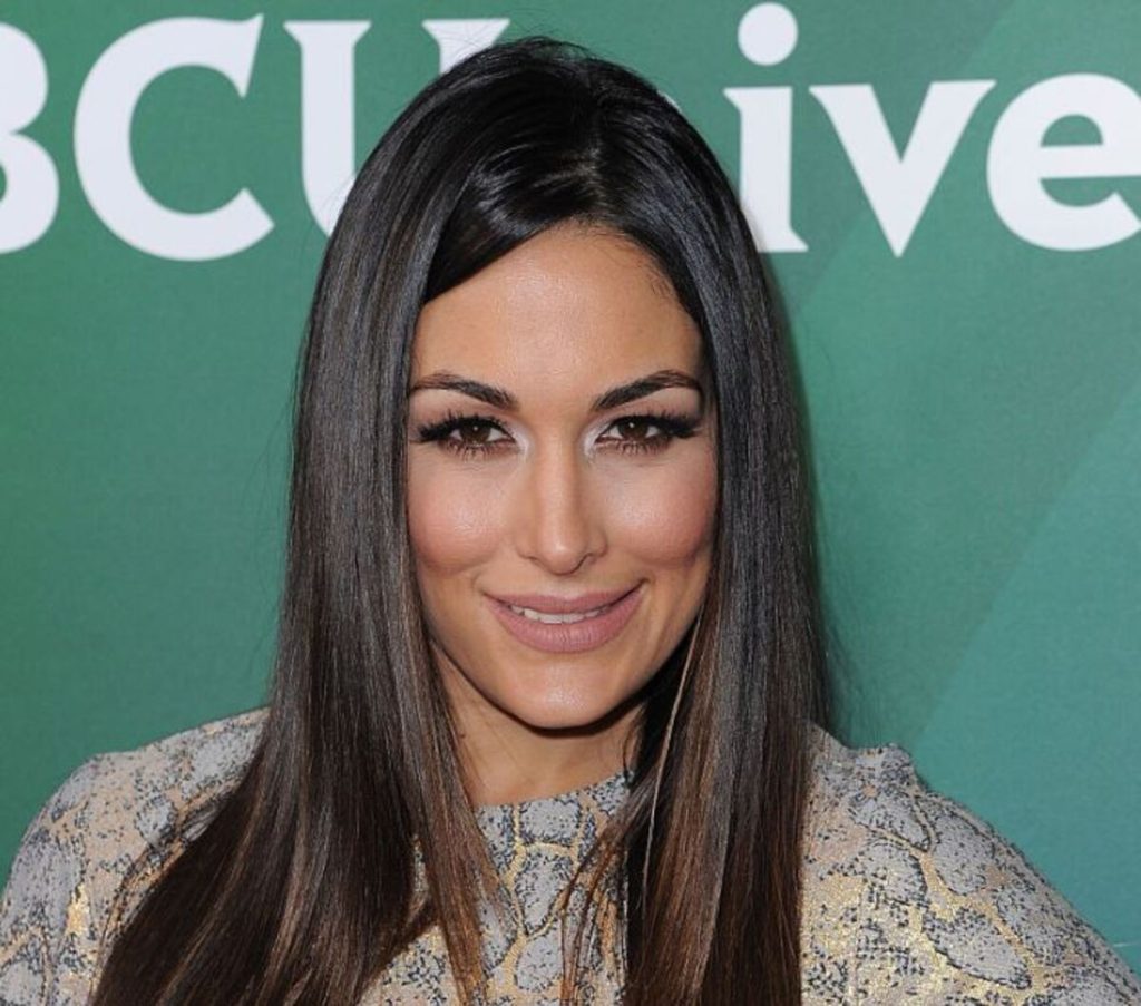 Brie Bella Plastic Surgery and Body Measurements