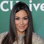 Brie Bella Plastic Surgery and Body Measurements
