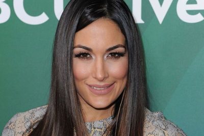 Brie Bella Plastic Surgery and Body Measurements